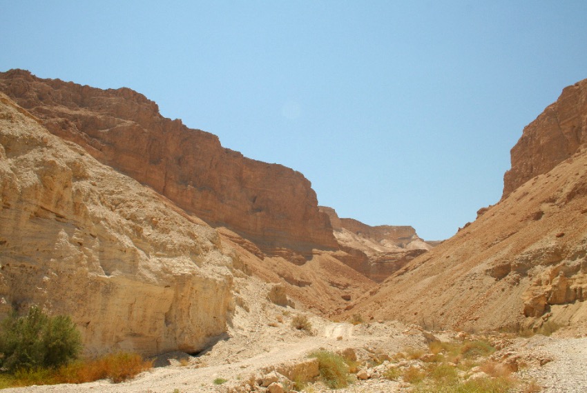 Sulha – ein orientalisches Friedensritual