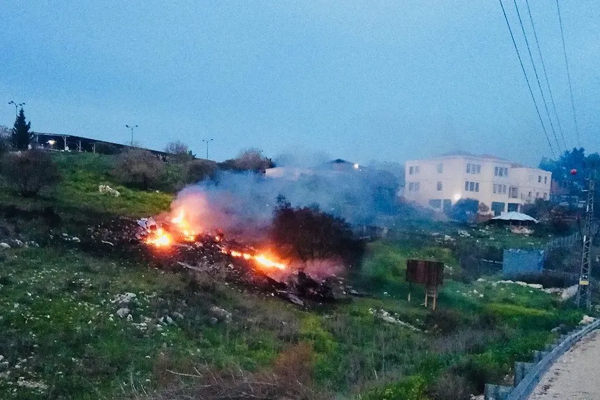 Zarte Pflänzchen — und ein brennender Kampfjet